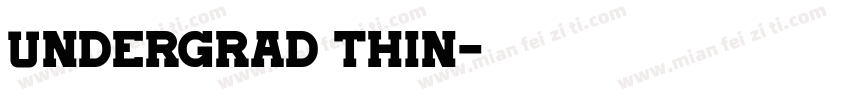 Undergrad Thin字体转换